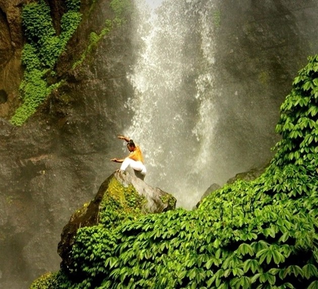 wellnessretreatsmainbanner31745644503.jpg
