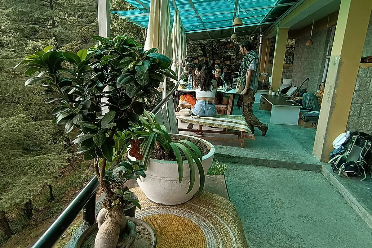 dharamkot studio 81746523483.webp