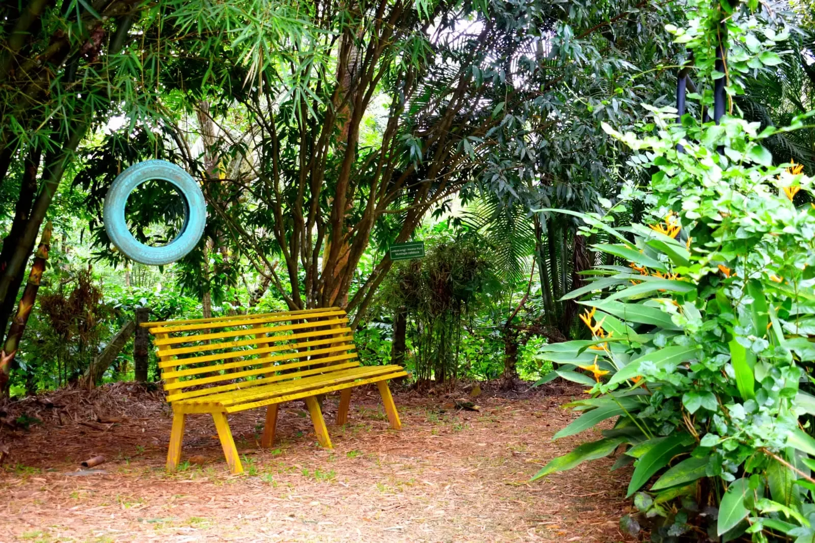 wayanad ayurveda 1091746600085.webp