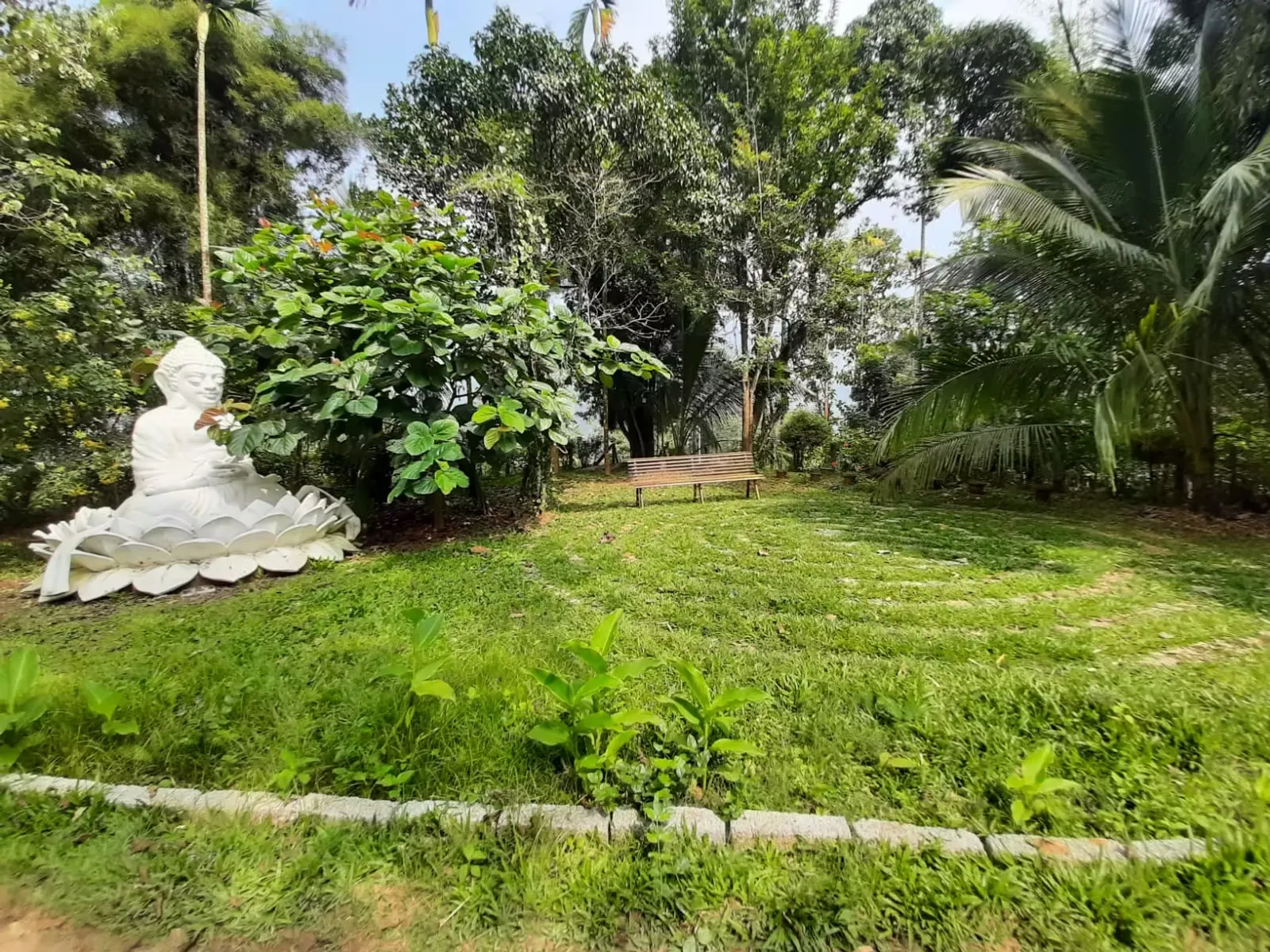 wayanad ayurveda 1101746607335.webp