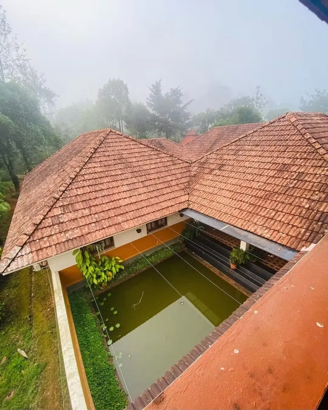 wayanad ayurveda 1171746602553.webp