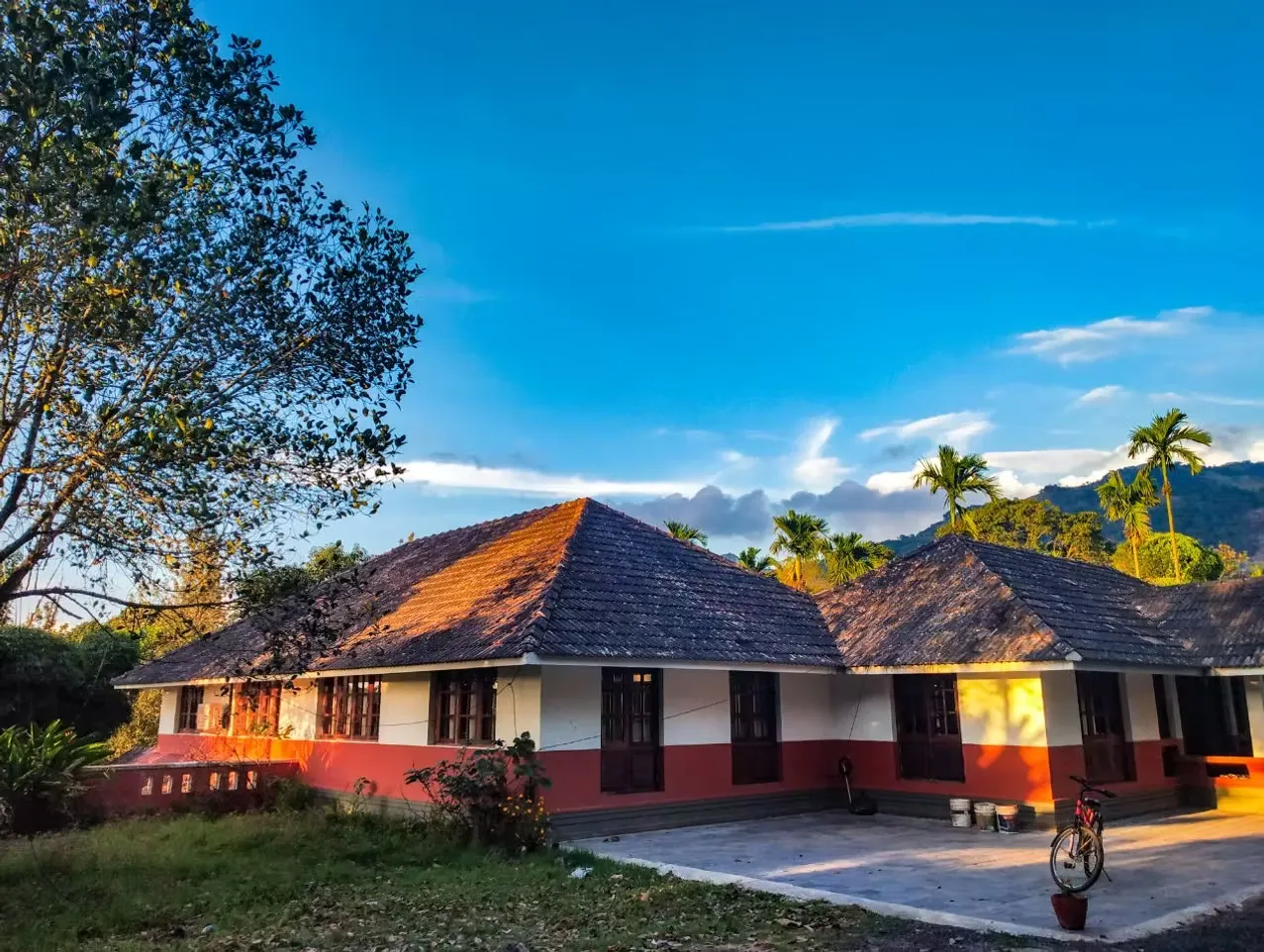 wayanad ayurveda 1191746607339.webp