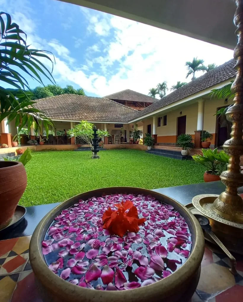 wayanad ayurveda 1221746600090.webp