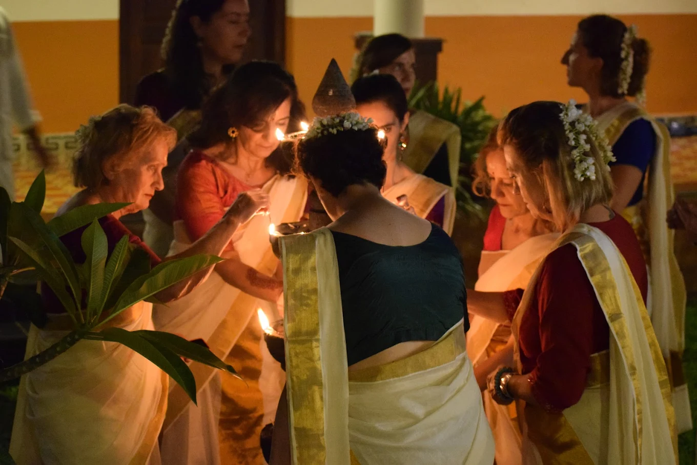 wayanad ayurveda 1261746600092.webp