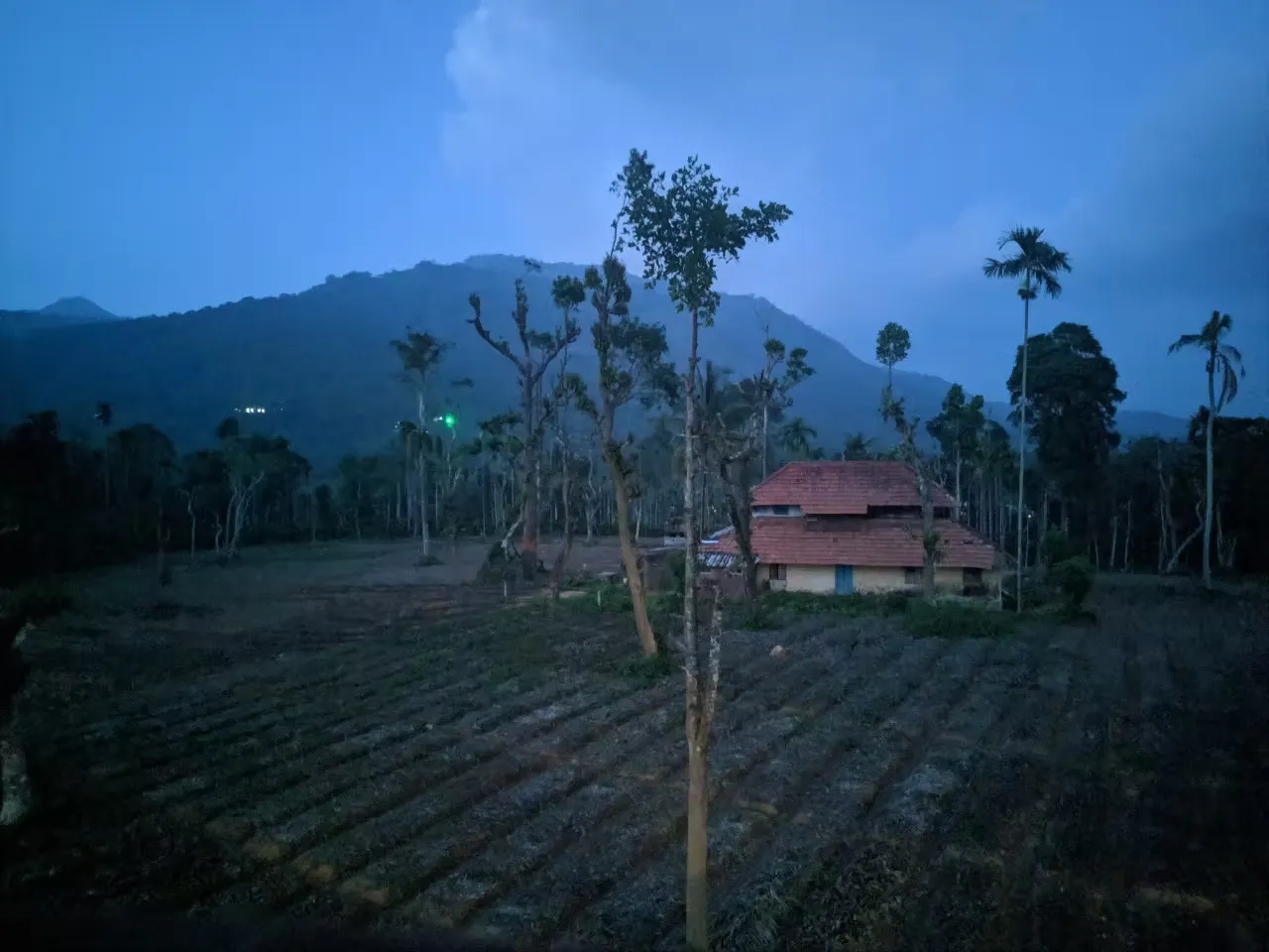 wayanad ayurveda 1351746602559.webp