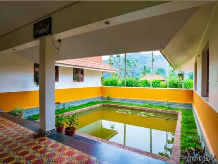 wayanad ayurveda 1411746600096.webp