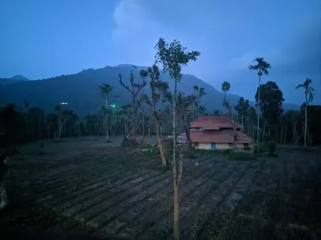 wayanad ayurveda 871746600080.webp