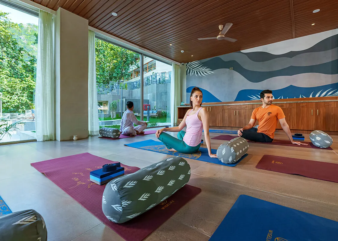 vileen wellness 281746772218.webp