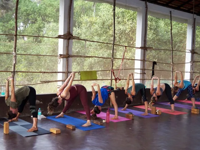 mahi yoga center dharamsala 11747134675.webp
