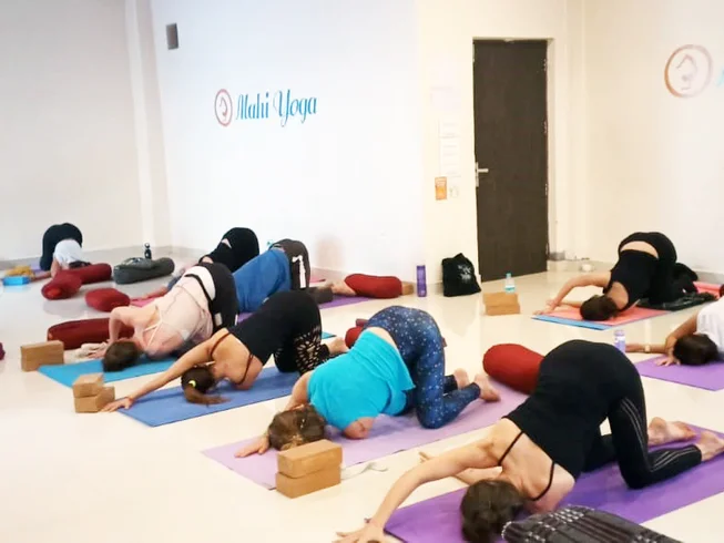 mahi yoga center dharamsala 231747132497.webp