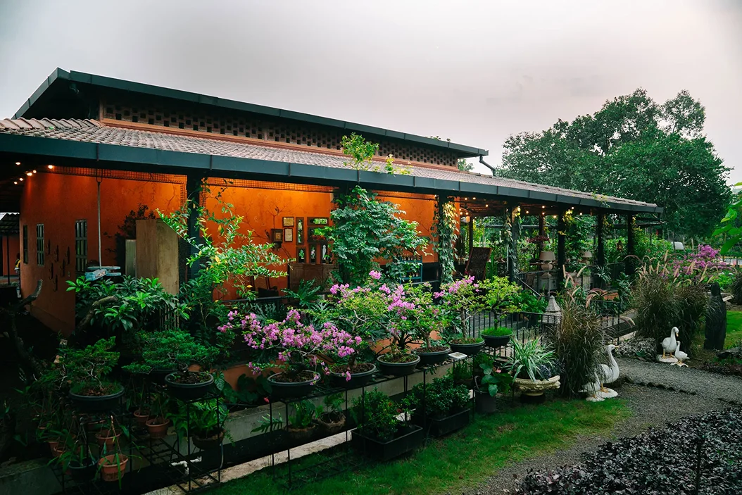 tooth mountain farms 91748431525.webp
