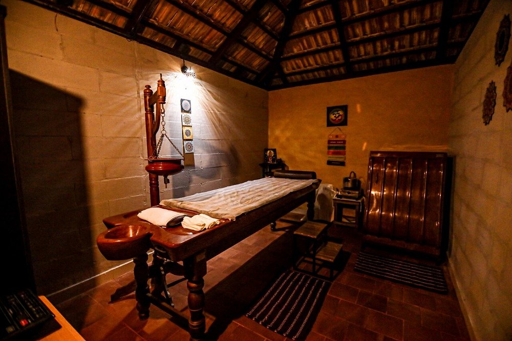 veda5 ayurveda wellness kerala 101749462275.jpg