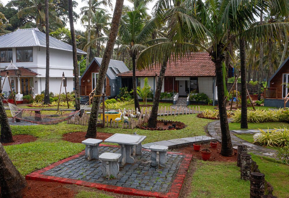 veda5 ayurveda wellness kerala 11749462272.jpg