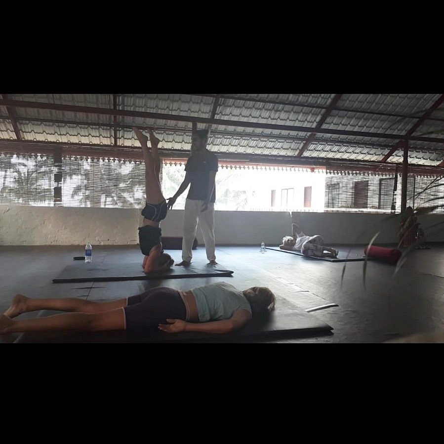 veda5 ayurveda wellness kerala 191749460311.jpg