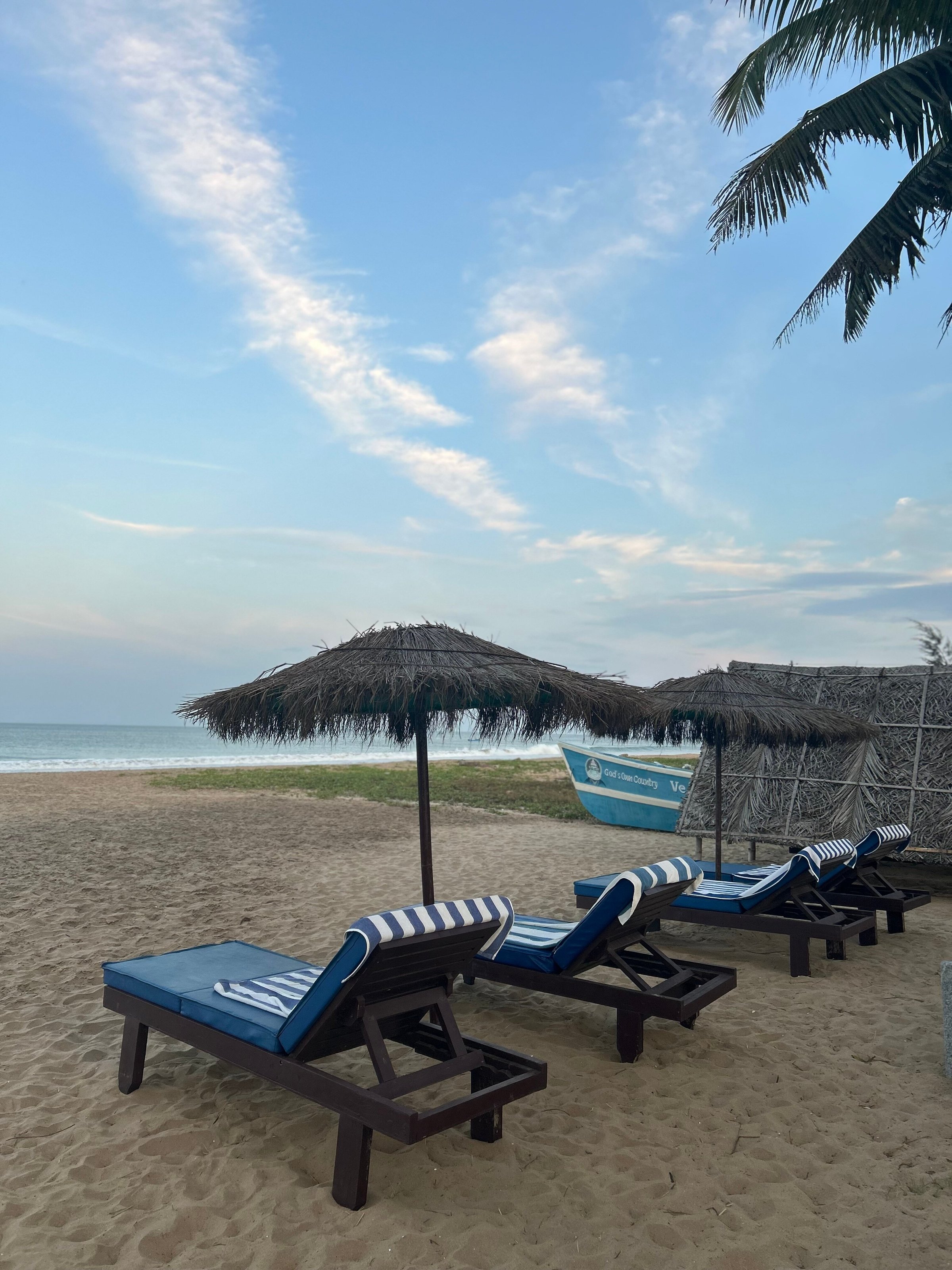 veda5 ayurveda wellness kerala 261749460316.jpg