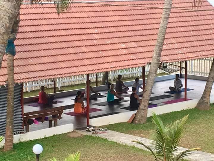 veda5 ayurveda wellness kerala 451749460325.jpg