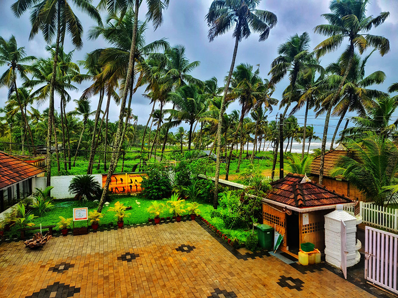 veda5 ayurveda wellness kerala 91749462275.jpg