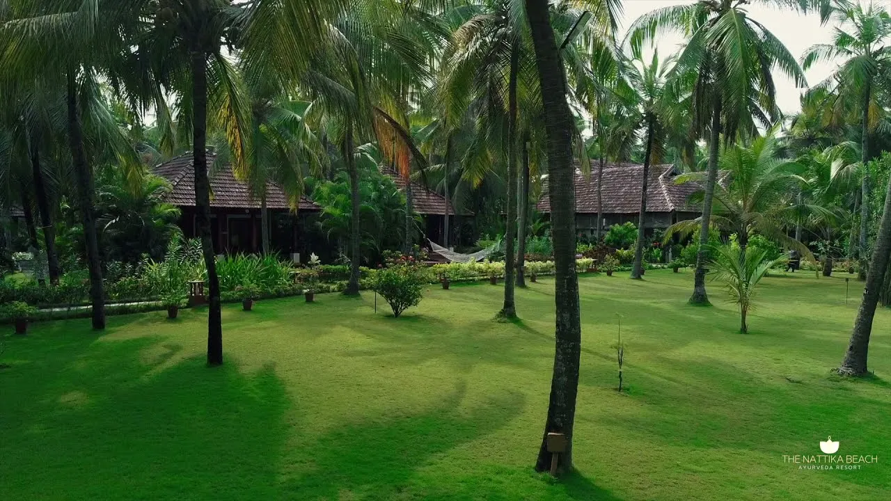 the nattika beach ayurveda resort 331753355377.webp