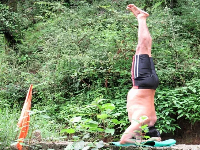 om yoga ashram 371754484857.webp