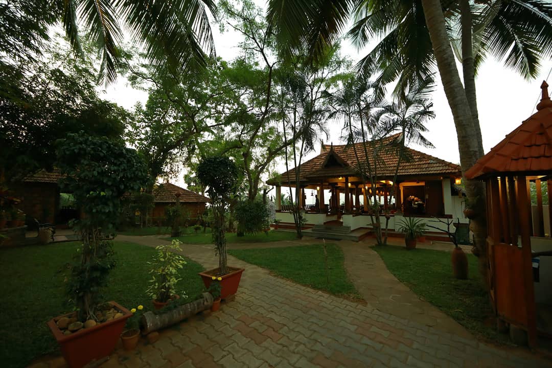 Nikki's Nest Kerala (20).jpg