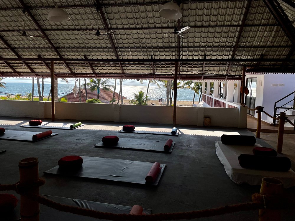 veda5 ayurveda wellness kerala 151756793830.jpg