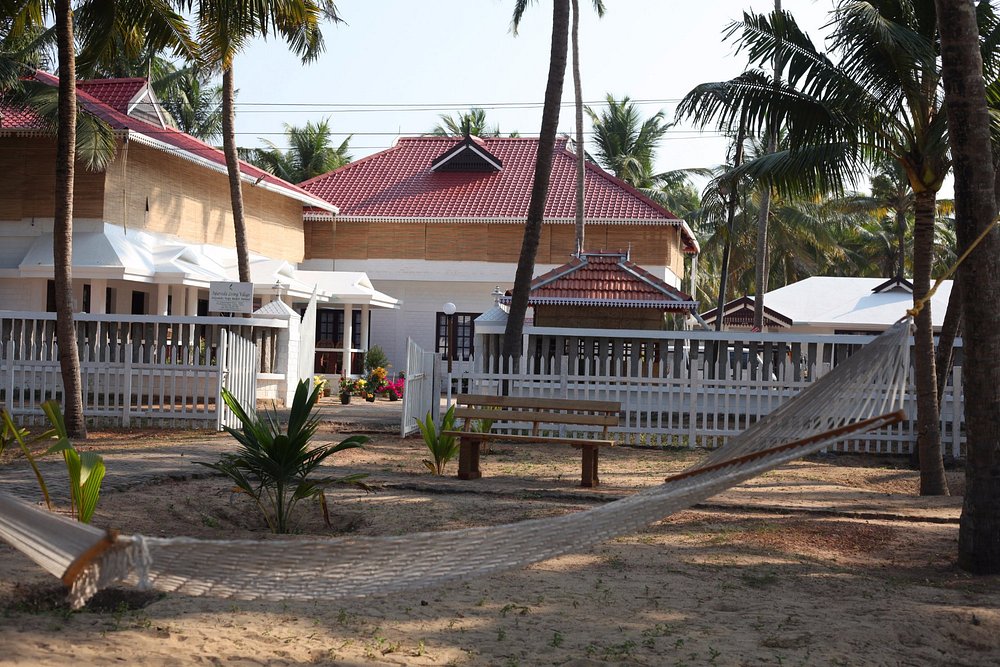 veda5 ayurveda wellness kerala 171756793830.jpg