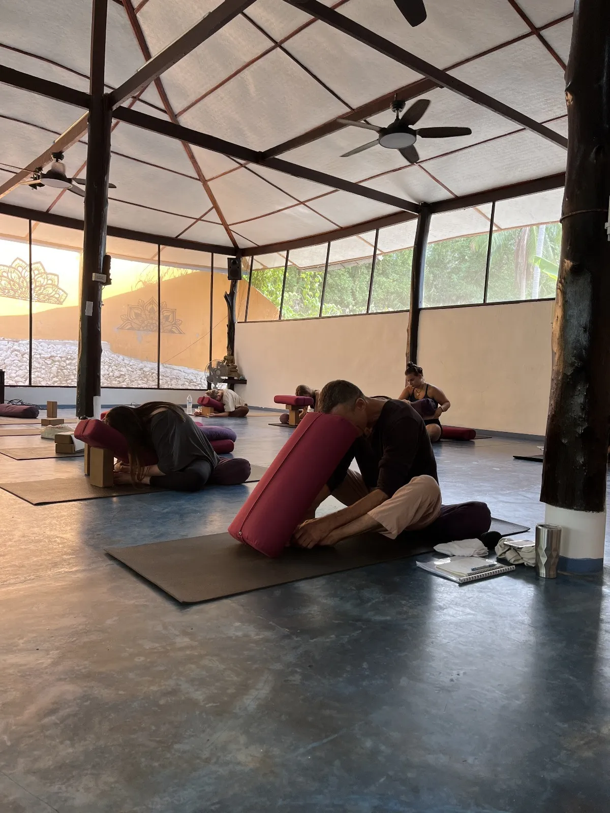 ananda yoga  detox center 11758525361.webp