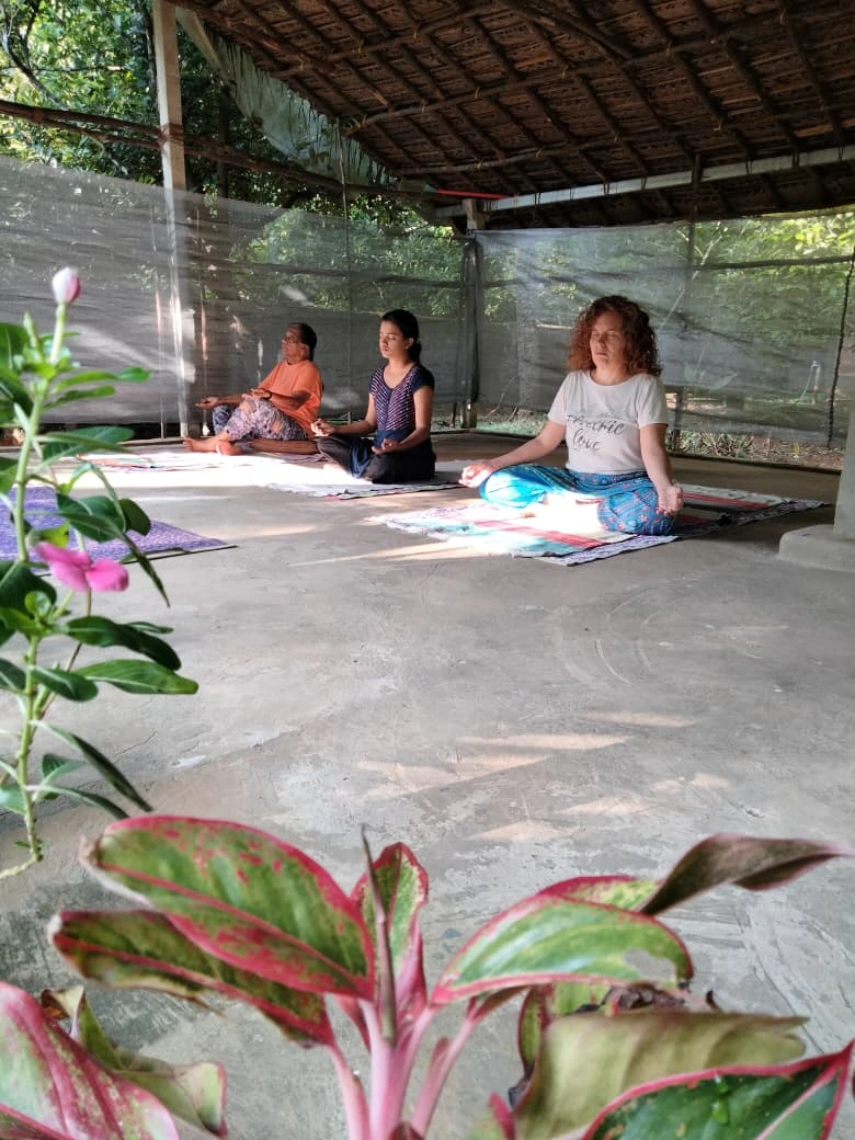 namaste ayurvedic wellness centre141761638579.webp