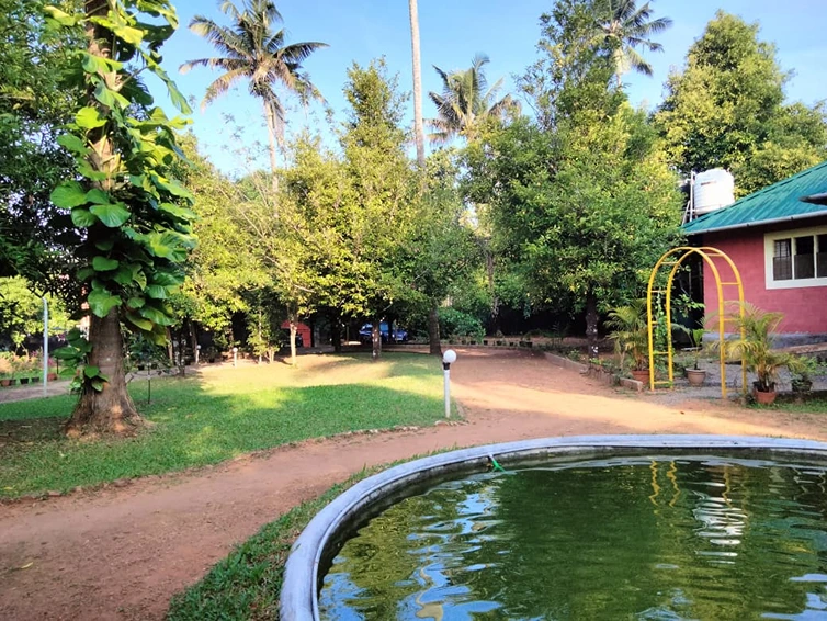 Namaste Ayurvedic Wellness Centre17.webp