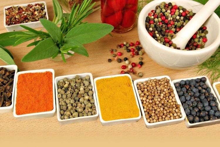 namaste ayurvedic wellness centre231761643462.webp
