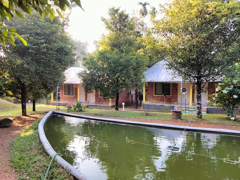 Namaste Ayurvedic Wellness Centre3.webp