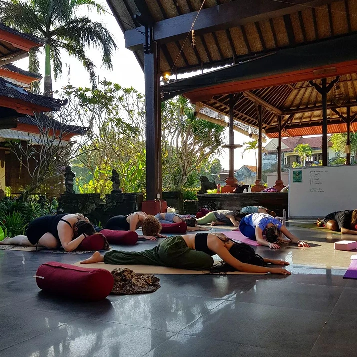 yin yoga therapy training151766580967.webp