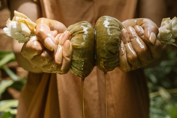 krishnendu ayurveda kerala121767872758.webp