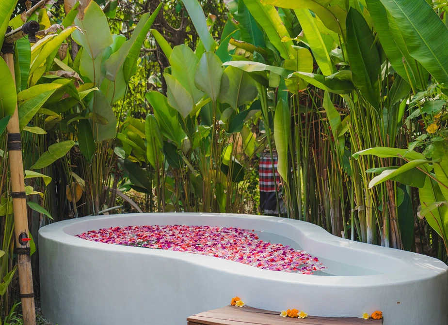 banya241768042133.webp