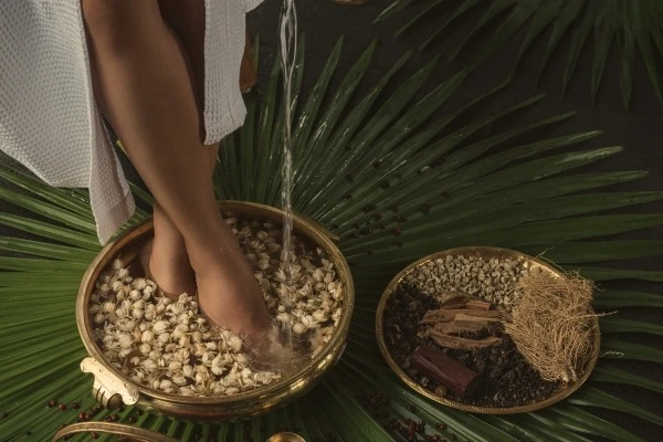 krishnendu ayurveda kerala331768047320.webp