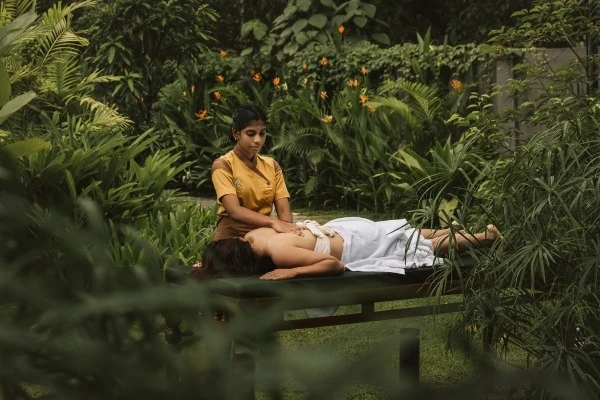 krishnendu ayurveda kerala21768303724.webp