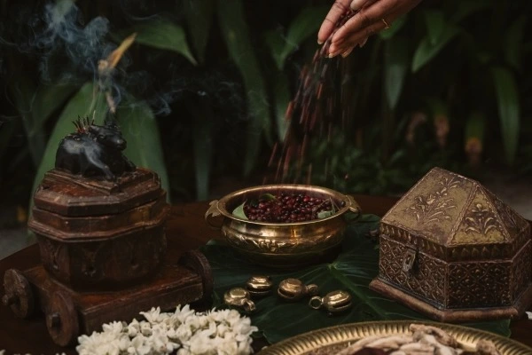 krishnendu ayurveda kerala251768300219.webp