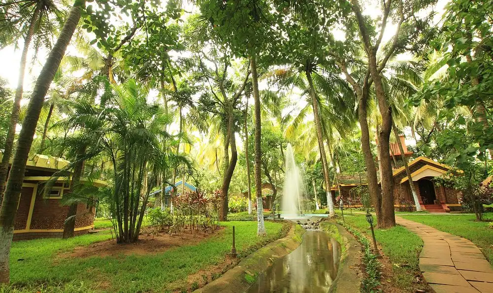 kairali-ayurvedic-health.webp