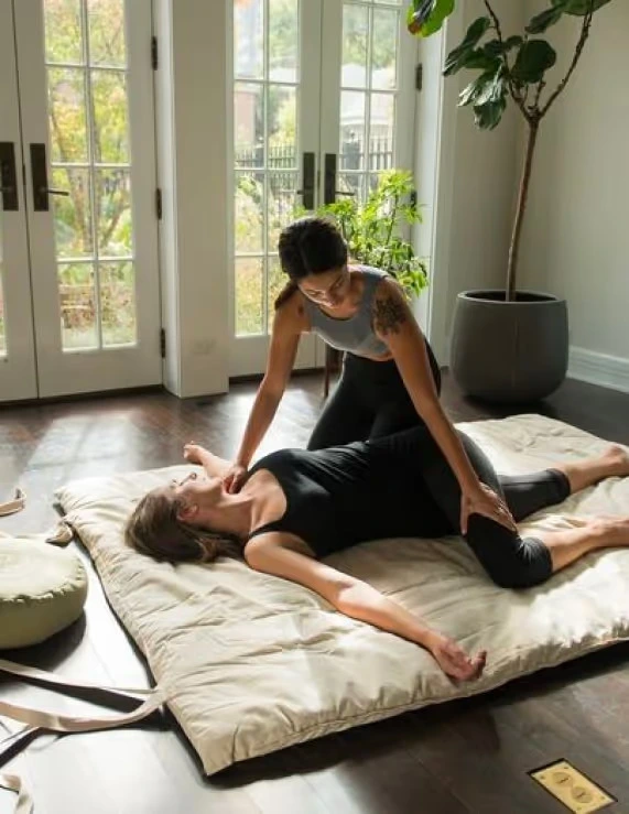 naturoville himalayan wellness retreat231770120464.webp