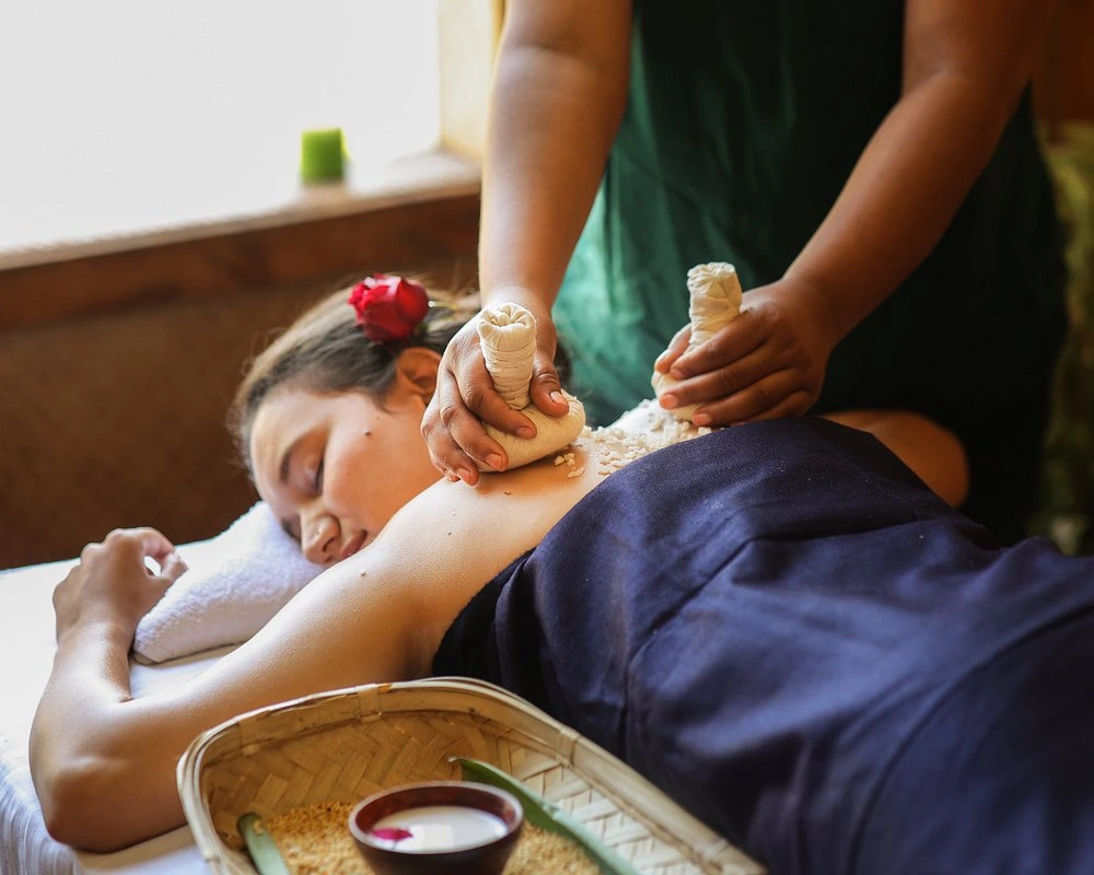 naturoville himalayan wellness retreat921770118440.webp
