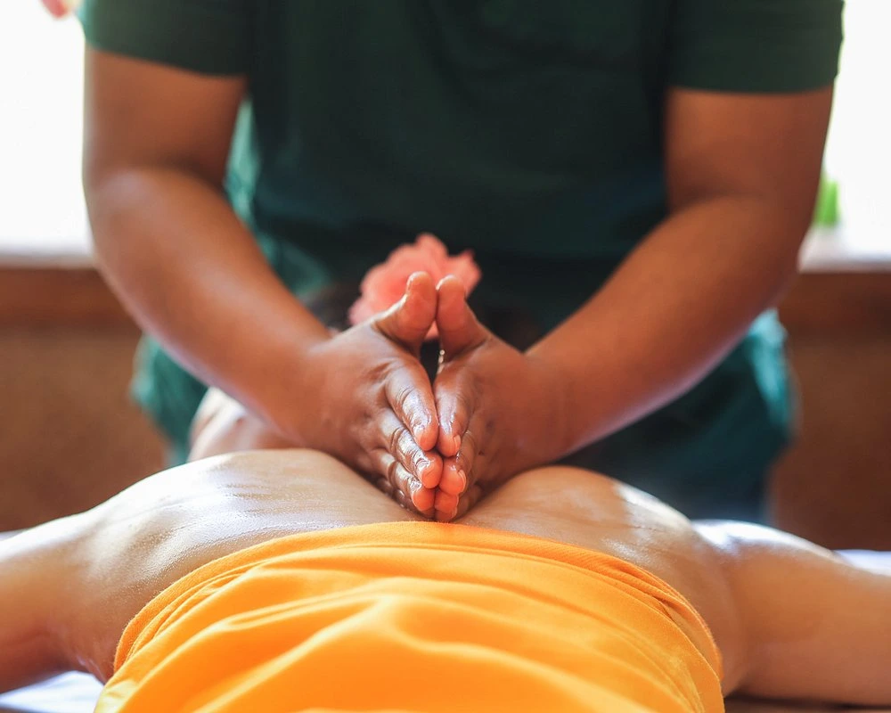 naturoville himalayan wellness retreat941770119509.webp