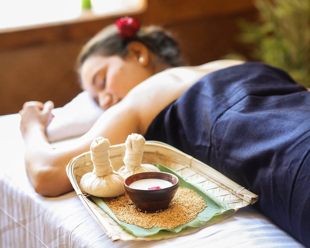 naturoville himalayan wellness retreat971770119509.webp