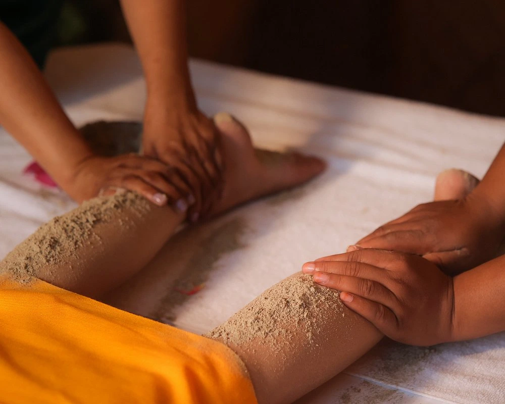 naturoville himalayan wellness retreat981770119509.webp