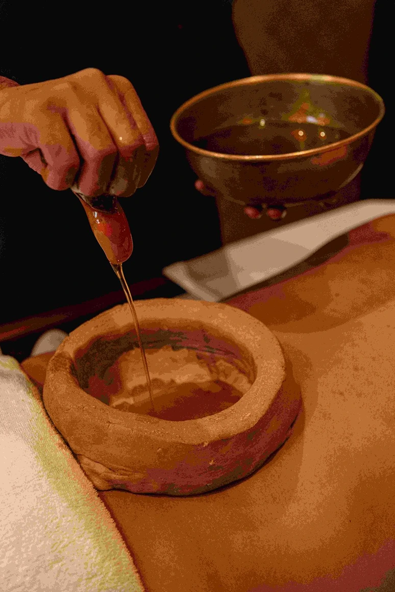naturoville himalayan wellness retreat101770192498.webp