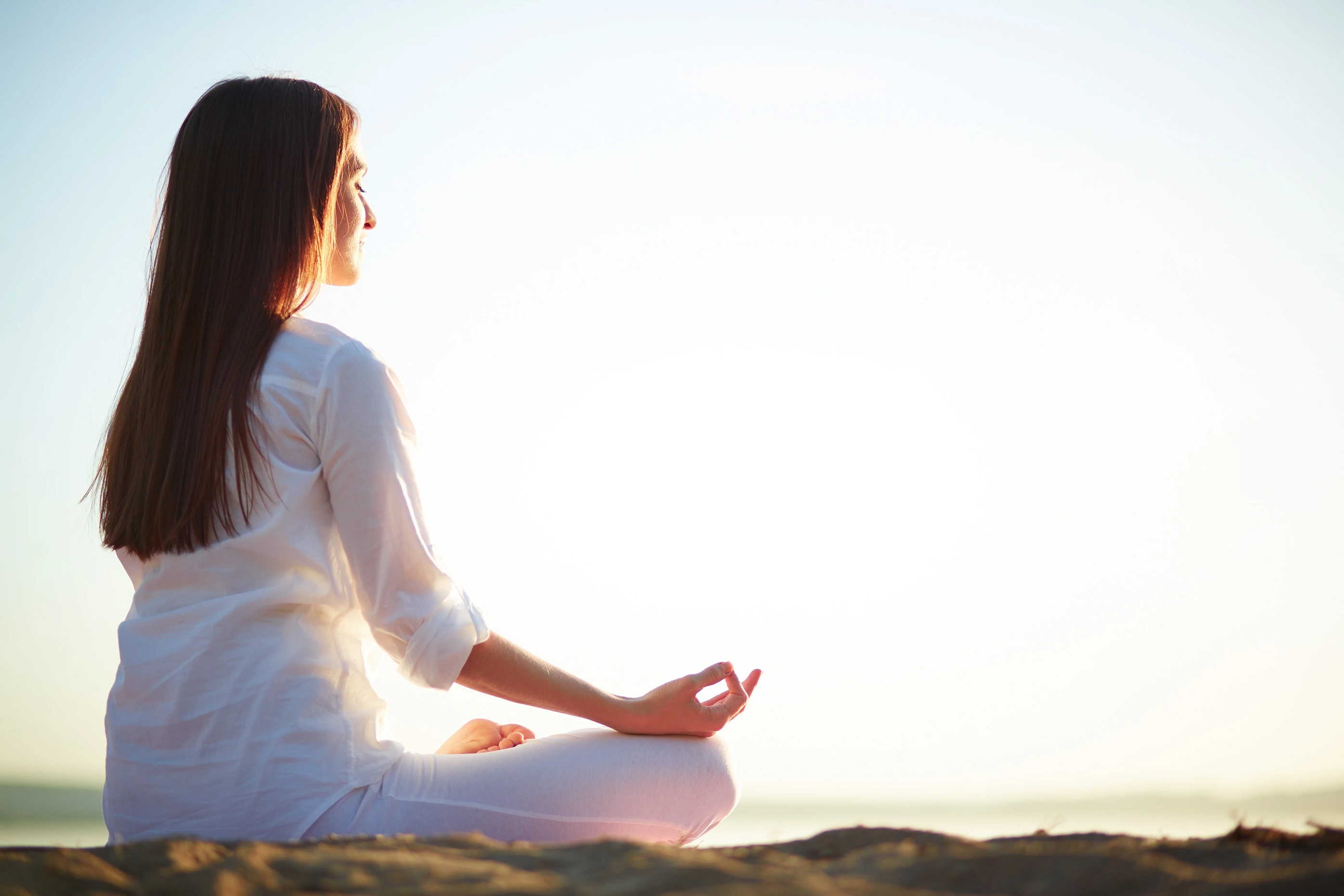 naturoville himalayan wellness retreat301770193933.webp