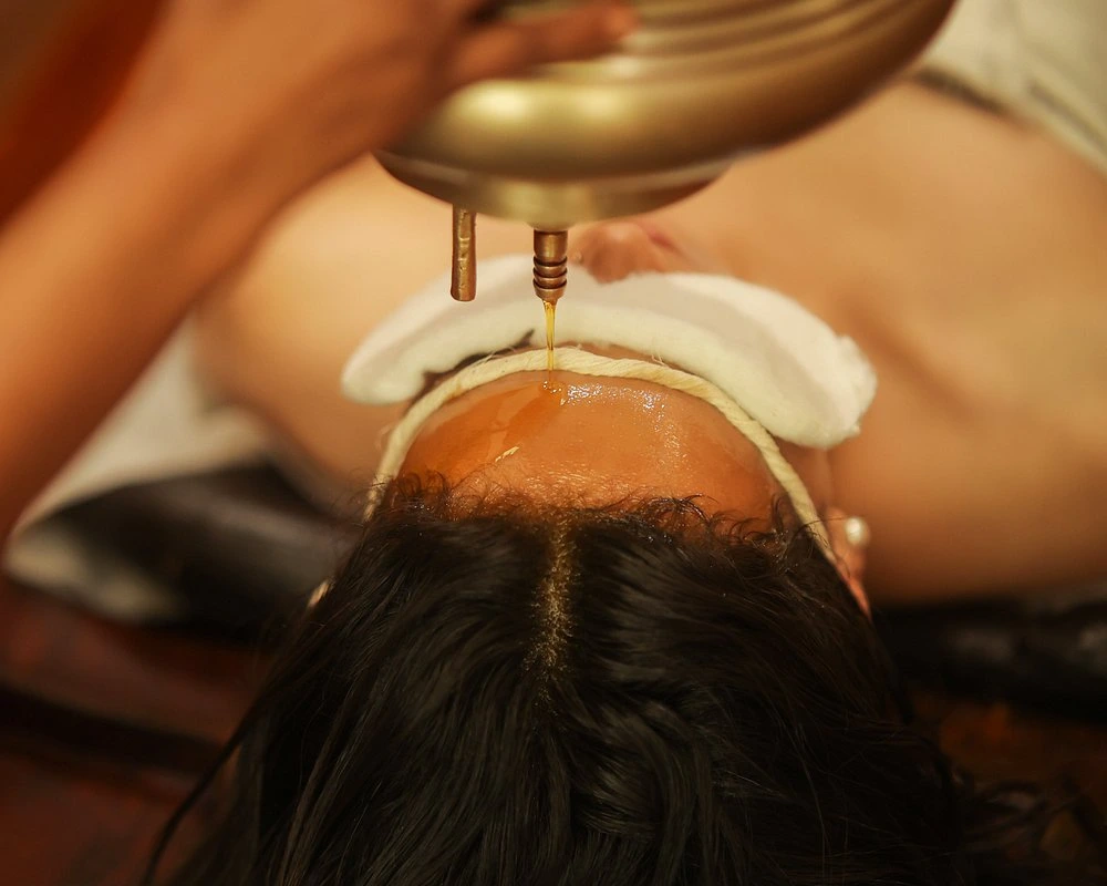 naturoville himalayan wellness retreat861770194766.webp