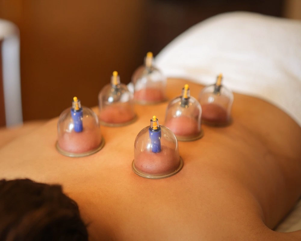 naturoville himalayan wellness retreat871770192501.webp