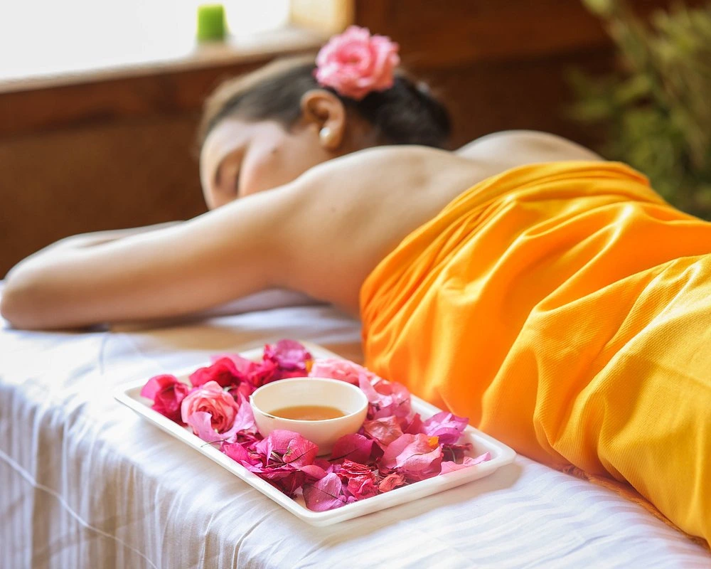 naturoville himalayan wellness retreat901770193936.webp