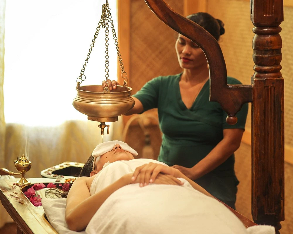 naturoville himalayan wellness retreat931770191377.webp