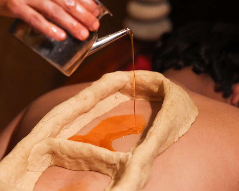 naturoville himalayan wellness retreat951770192502.webp